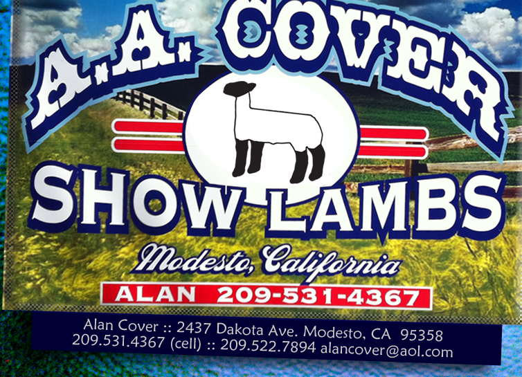 A.A. Cover Show Lambs - Modesto, CA